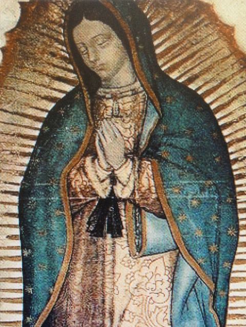 Our Lady of Guadalupe miraculous image formed on cactus cloth (1531) like a photo lying on top of the threads!