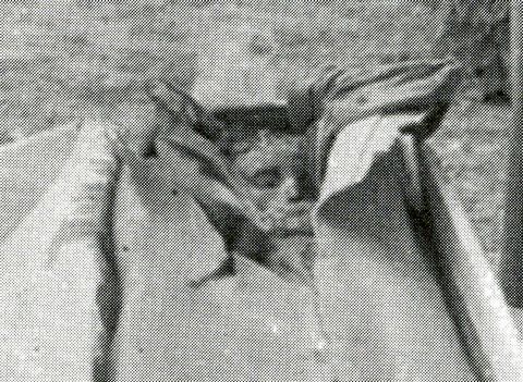 The incorrupt body of Jacinta 15 years after her death.