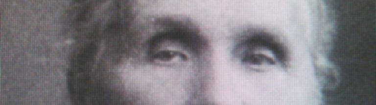 header_pellevoisin-france